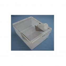 Caixa de Polipropileno 41 x 34 x 16 cm Growing sem tampa