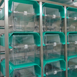 Rack Ventilado - 35 microisoladores
