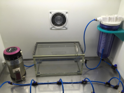 Câmara de Anestesia para Ratos e Camundongos com Vaporizador HB - Sistema Completo