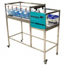 Rack Zebrafish Modular