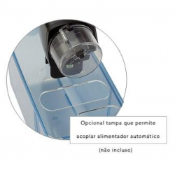Aquário Zebrafish